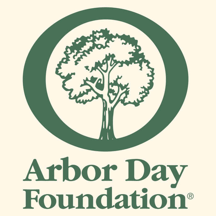 Why Bee Bella Supports the Arbor Day Foundation